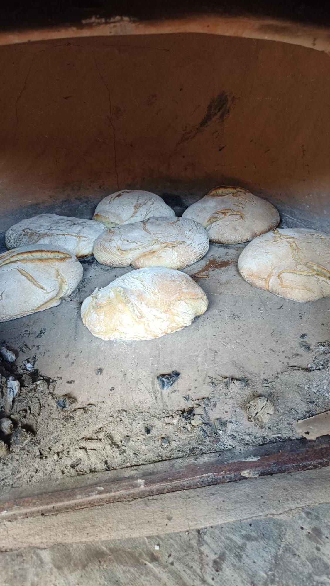 Casa Dos Avos 23 Hébergement de vacances